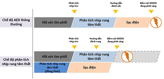 Chế độ phân tích nhịp rung tâm thất liên tục (Continuous VF analysis)